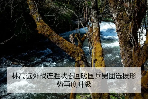 林高远外战连胜状态回暖国乒男团选拔形势再度升级